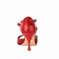 Mobile Preview: A8B Nappa Rosso Heel 7 cm -Absatz 7cm